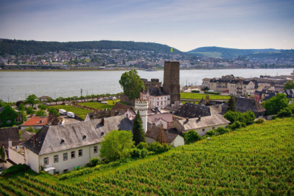 Rüdesheim – Burgenrundfahrt inkl. schwimmender Weinprobe