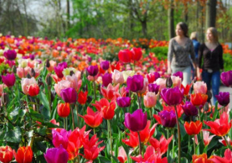  Blumenschau Keukenhof